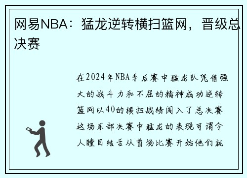 网易NBA：猛龙逆转横扫篮网，晋级总决赛